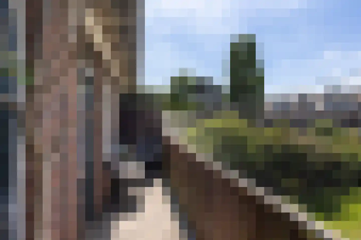 Vondelweg 68 Haarlem thumbnail 6