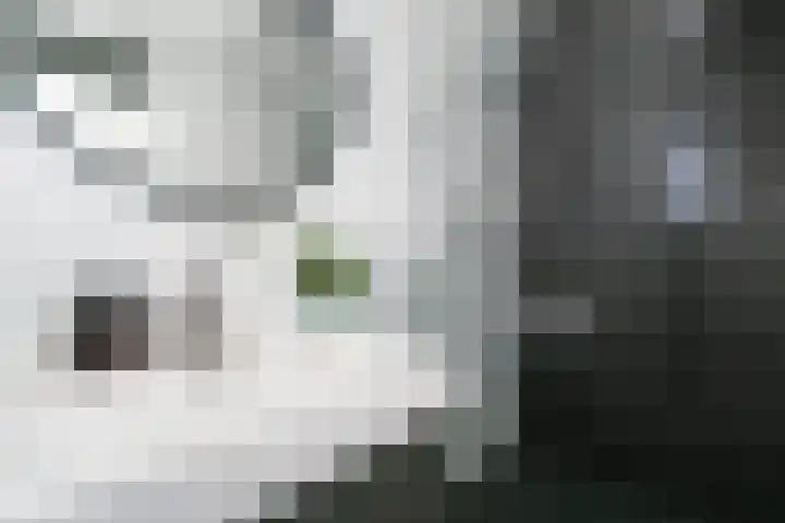 Vondelweg 78 Rotterdam thumbnail 4