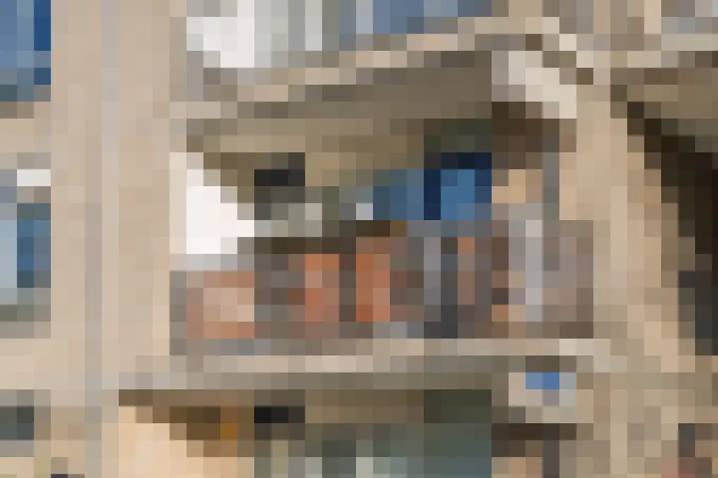 Vondelweg 96 Rotterdam thumbnail 5
