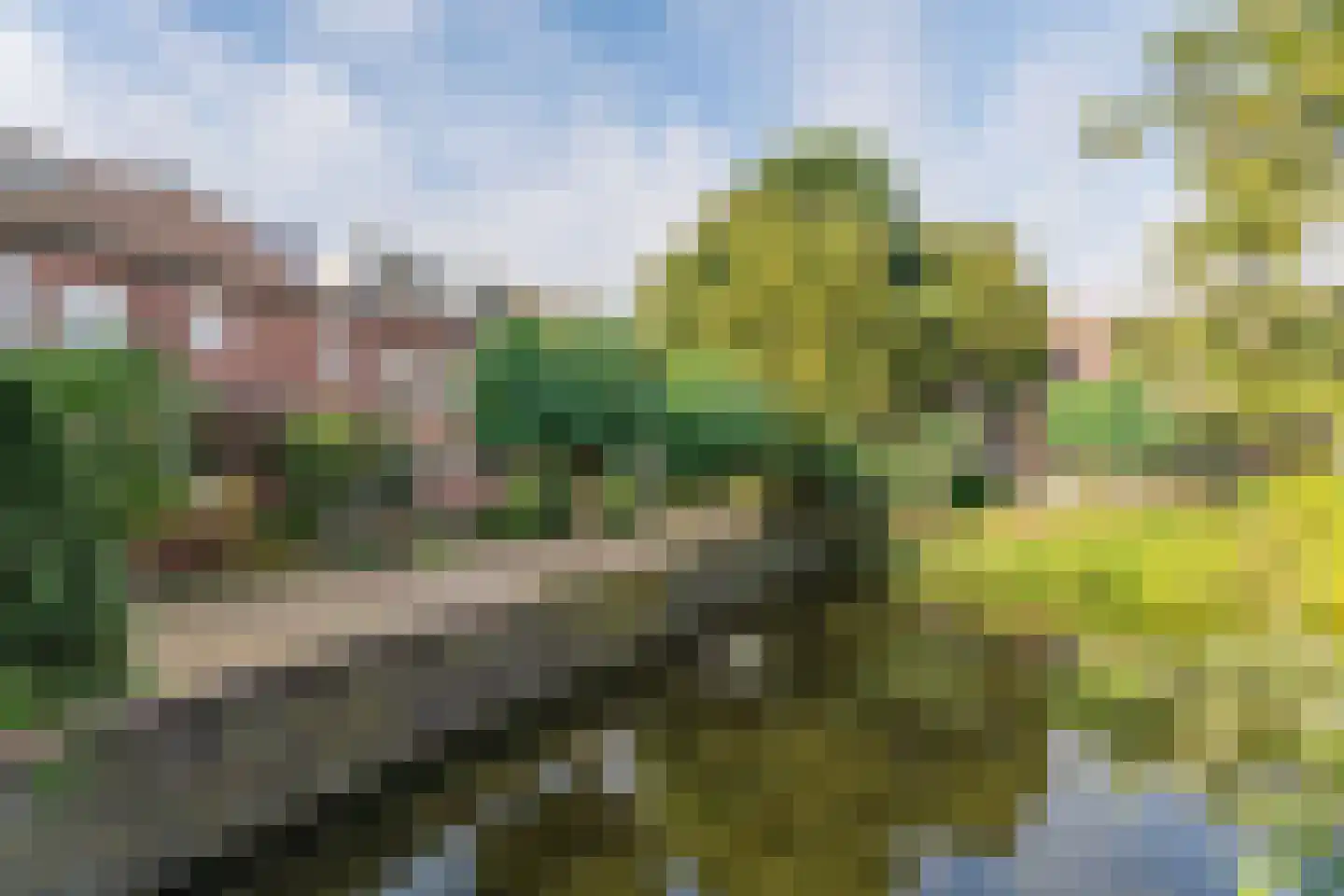 Vondelwende 18 Hillegom thumbnail 29