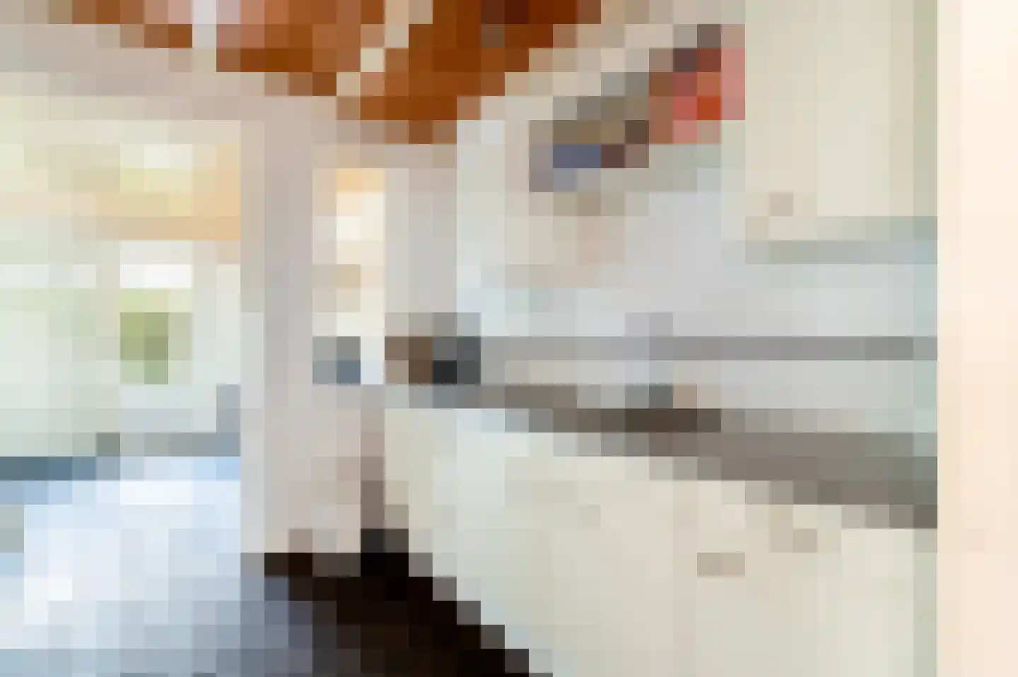 Vonderlaan 16 Apeldoorn thumbnail 19