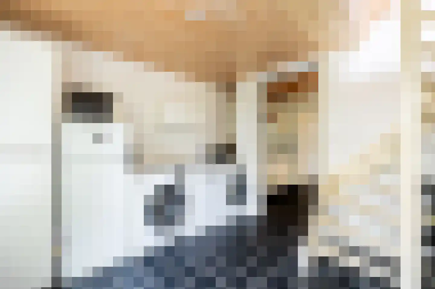Vonderlaan 16 Apeldoorn thumbnail 20