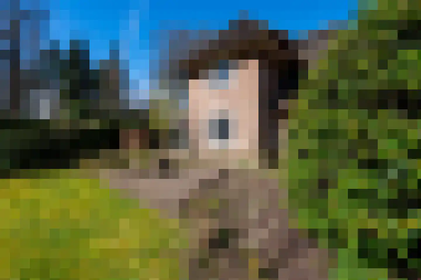 Vonderlaan 16 Apeldoorn thumbnail 37