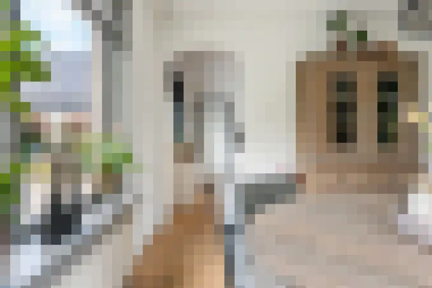 Vonderpad 1 a Westerbroek thumbnail 11