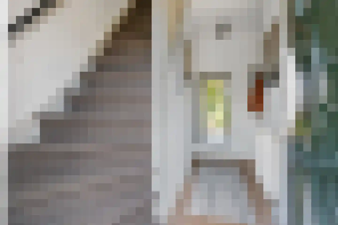 Vonderpad 1 a Westerbroek thumbnail 20