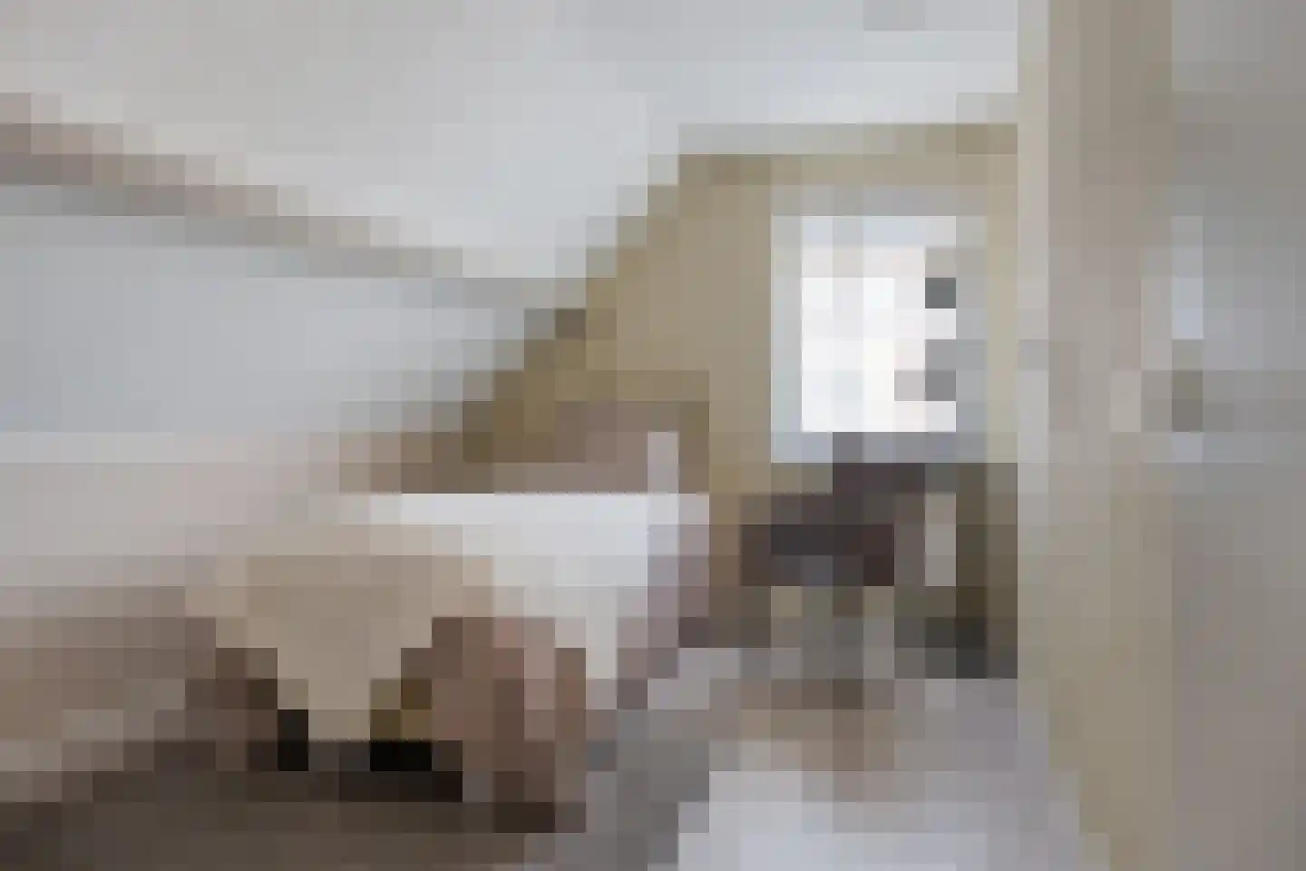 Vonderpad 1 a Westerbroek thumbnail 22
