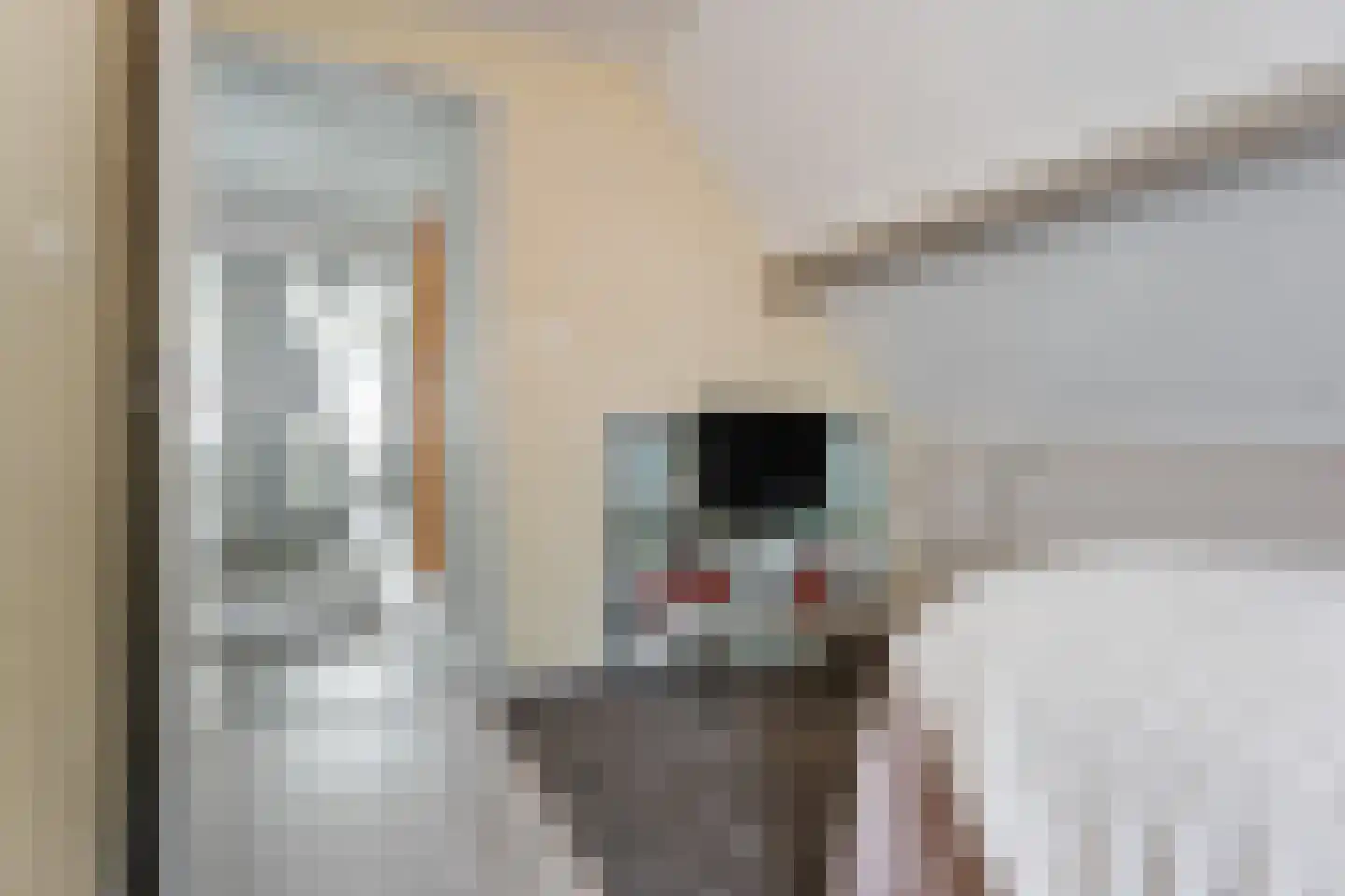 Vonderpad 1 a Westerbroek thumbnail 23