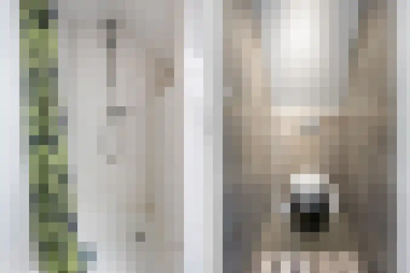 Vonderpad 1 a Westerbroek thumbnail 28