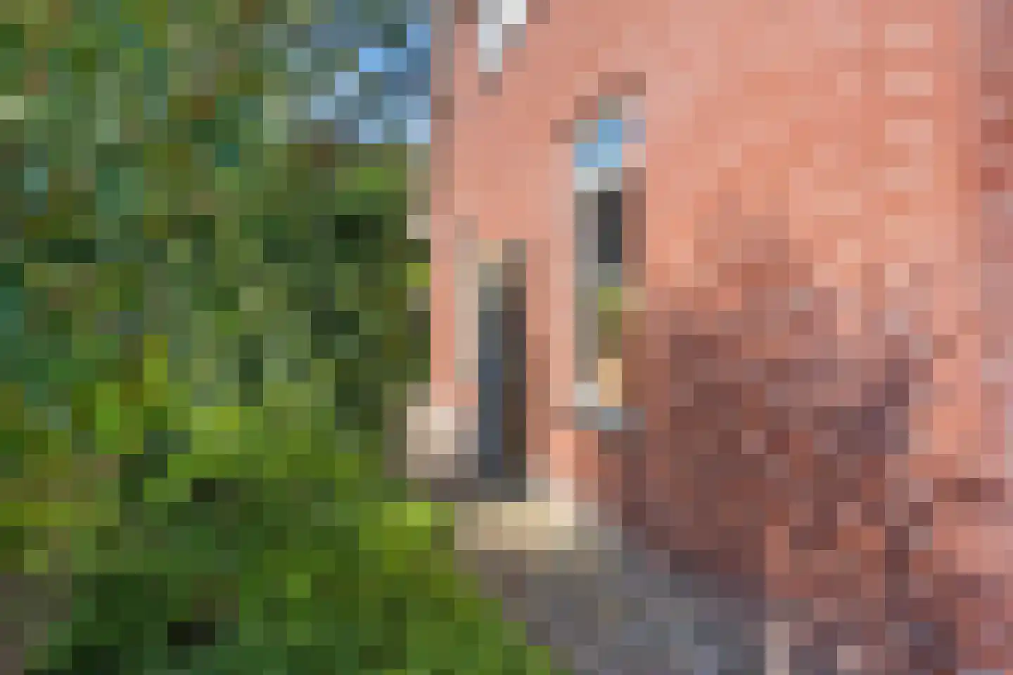Vonderpad 1 a Westerbroek thumbnail 44