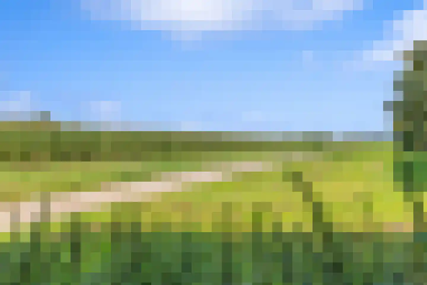 Vonderpad 1 a Westerbroek thumbnail 50