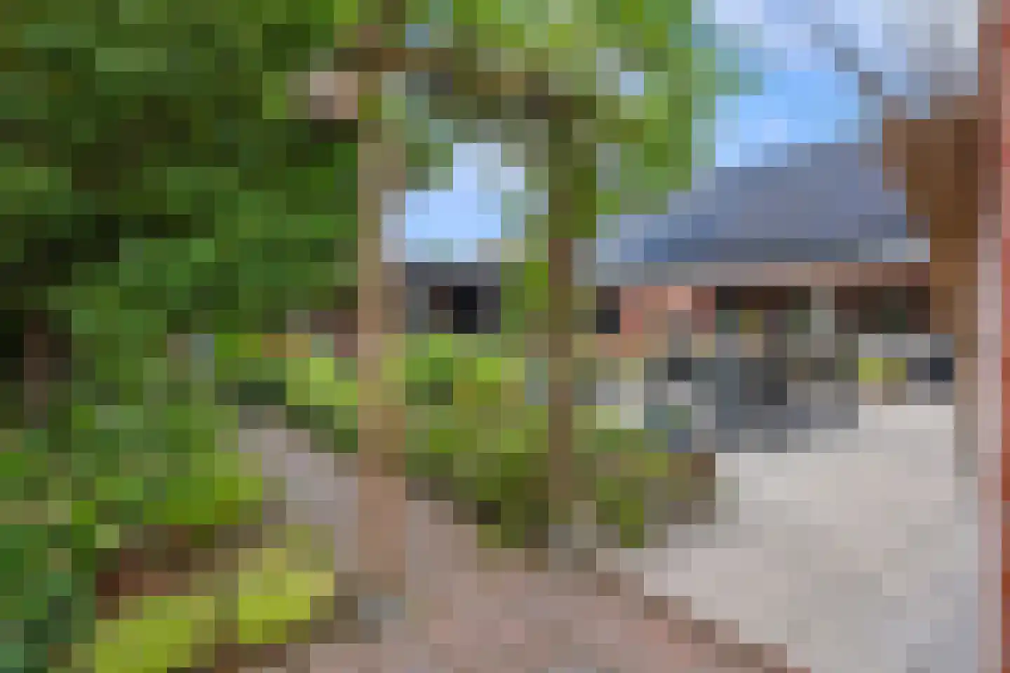 Vonderpad 1 a Westerbroek thumbnail 6
