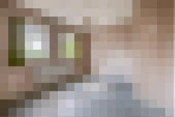 Vonderpad 11 Bergeijk thumbnail 26