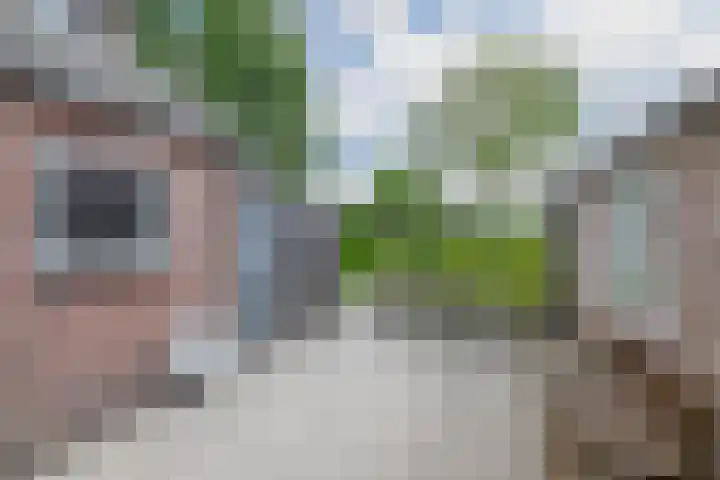 Vonderpad 11 Bergeijk thumbnail 28