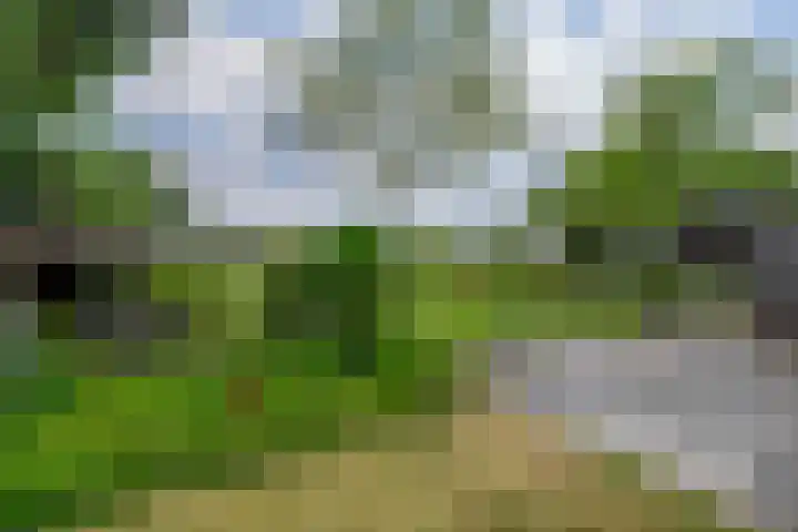 Vonderpad 11 Bergeijk thumbnail 32