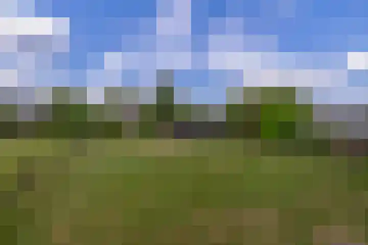 Vonderpad 11 Bergeijk thumbnail 38