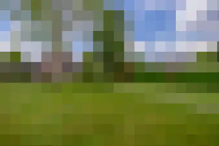 Vonderpad 11 Bergeijk thumbnail 40