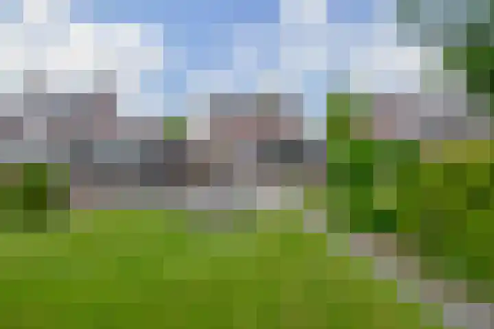 Vonderpad 11 Bergeijk thumbnail 41