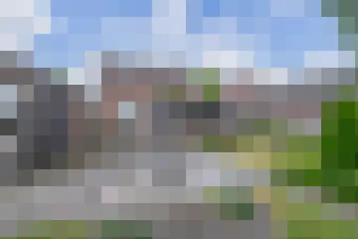 Vonderpad 11 Bergeijk thumbnail 42