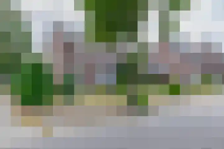 Vonderpad 11 Bergeijk thumbnail 44