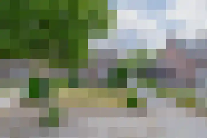 Vonderpad 11 Bergeijk thumbnail 46