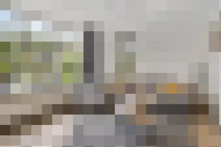 Vonderpad 21 Gieterveen thumbnail 12