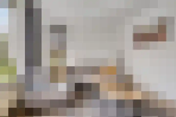 Vonderpad 21 Gieterveen thumbnail 13