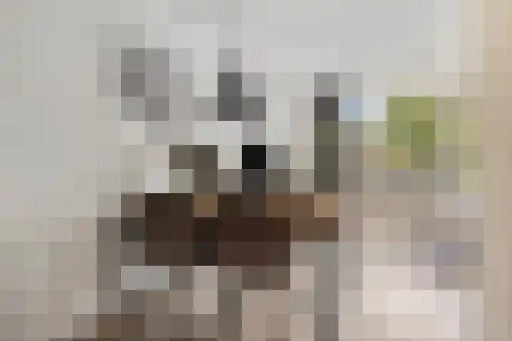 Vonderpad 21 Gieterveen thumbnail 15