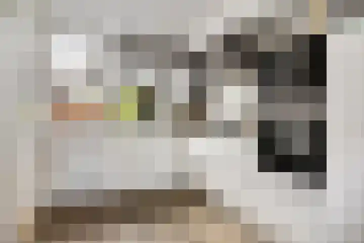 Vonderpad 21 Gieterveen thumbnail 16