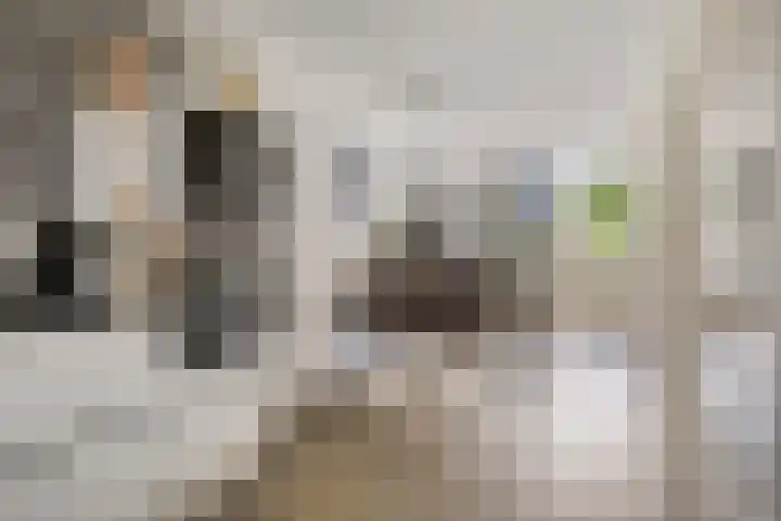 Vonderpad 21 Gieterveen thumbnail 17