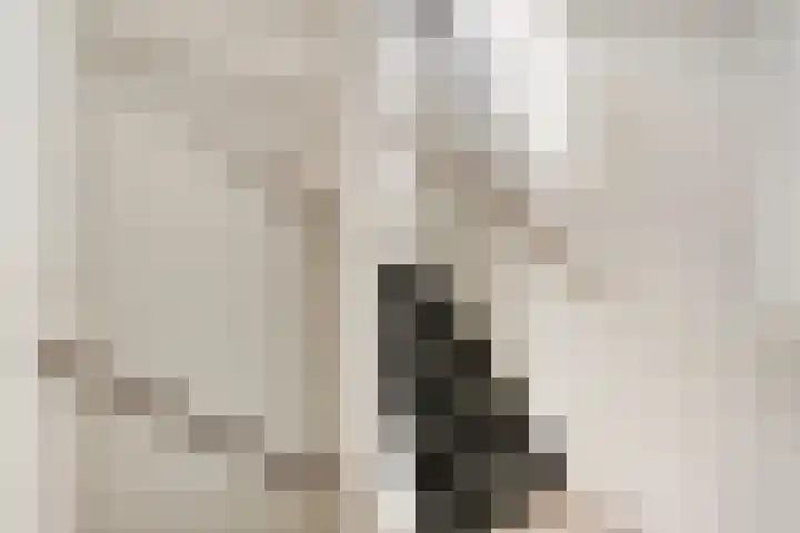 Vonderpad 21 Gieterveen thumbnail 19