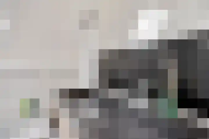 Vonderpad 21 Gieterveen thumbnail 23