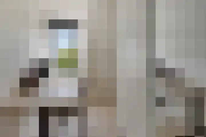 Vonderpad 21 Gieterveen thumbnail 25