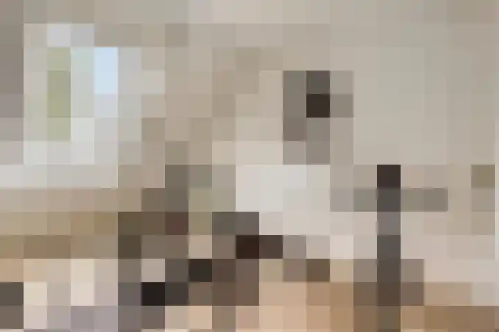 Vonderpad 21 Gieterveen thumbnail 26