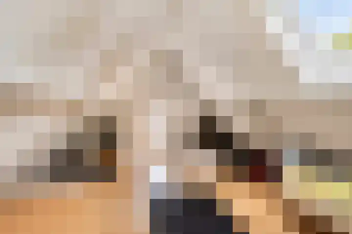 Vonderpad 21 Gieterveen thumbnail 28