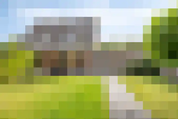 Vonderpad 21 Gieterveen thumbnail 29