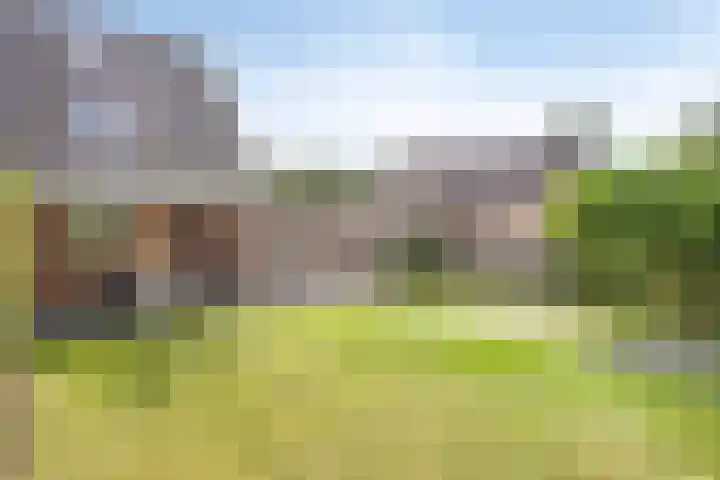 Vonderpad 21 Gieterveen thumbnail 30
