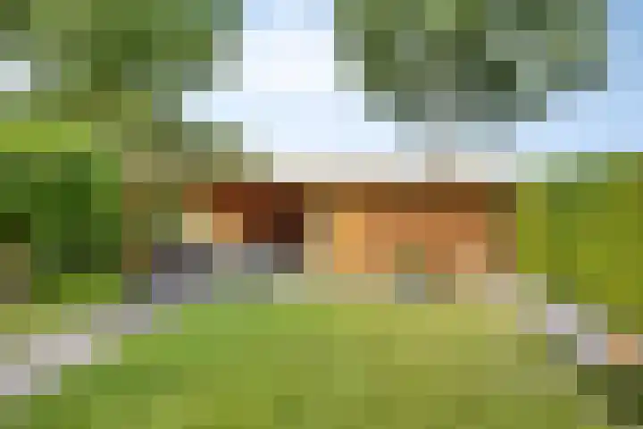Vonderpad 21 Gieterveen thumbnail 31
