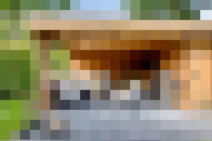Vonderpad 21 Gieterveen thumbnail 32