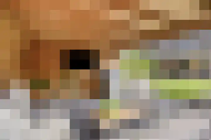 Vonderpad 21 Gieterveen thumbnail 33