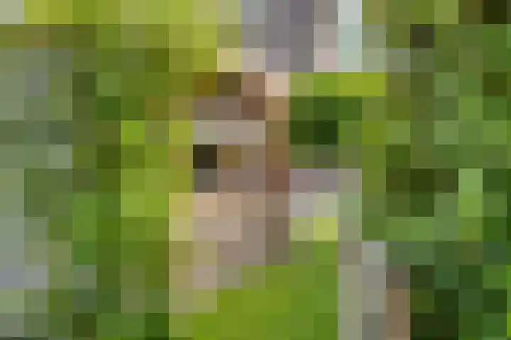 Vonderpad 21 Gieterveen thumbnail 35