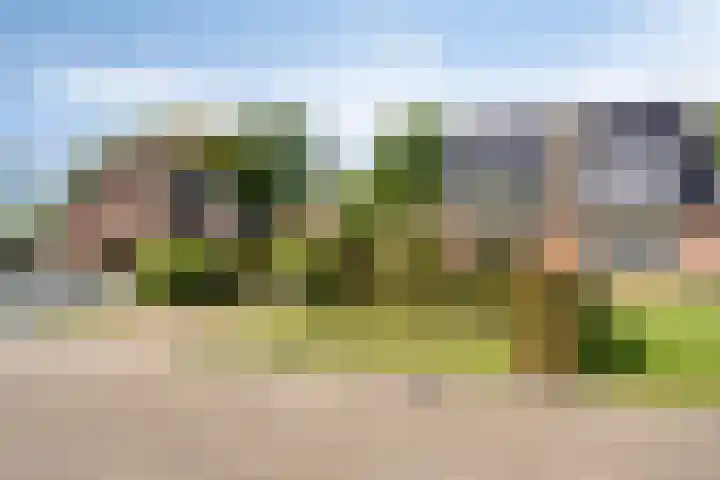 Vonderpad 21 Gieterveen thumbnail 38