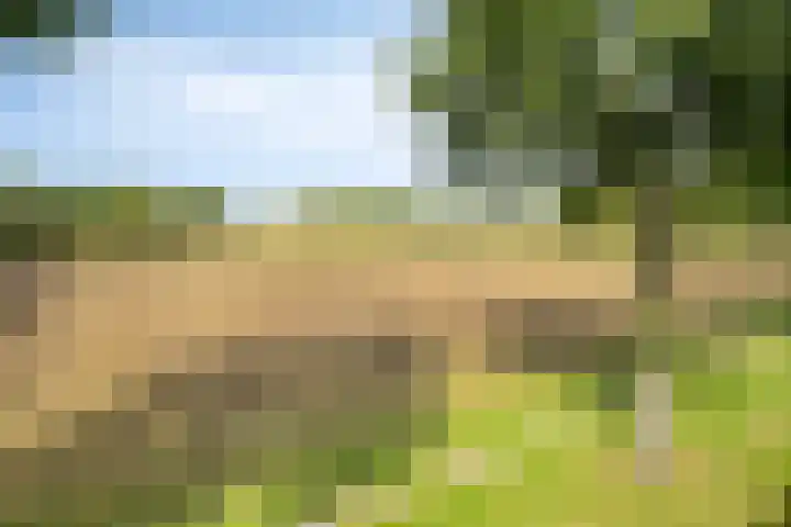 Vonderpad 21 Gieterveen thumbnail 39