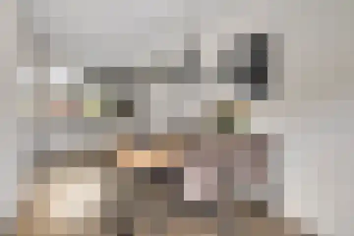 Vonderpad 21 Gieterveen thumbnail 4