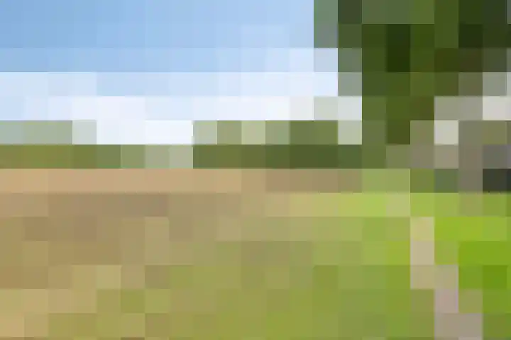 Vonderpad 21 Gieterveen thumbnail 40