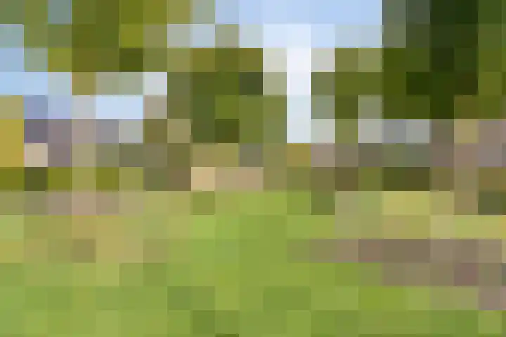 Vonderpad 21 Gieterveen thumbnail 41