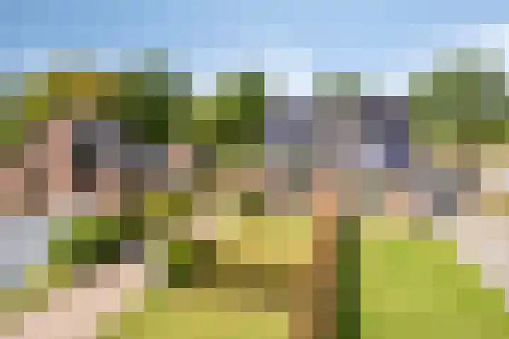 Vonderpad 21 Gieterveen thumbnail 42