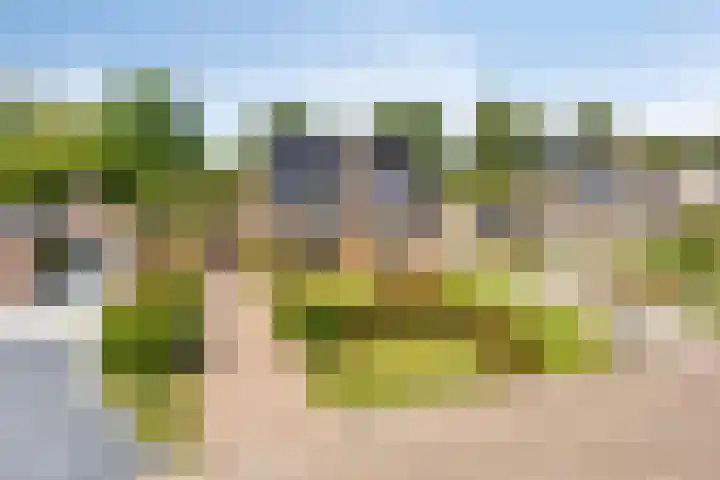 Vonderpad 21 Gieterveen thumbnail 43