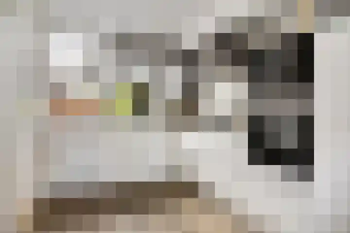 Vonderpad 21 Gieterveen thumbnail 5