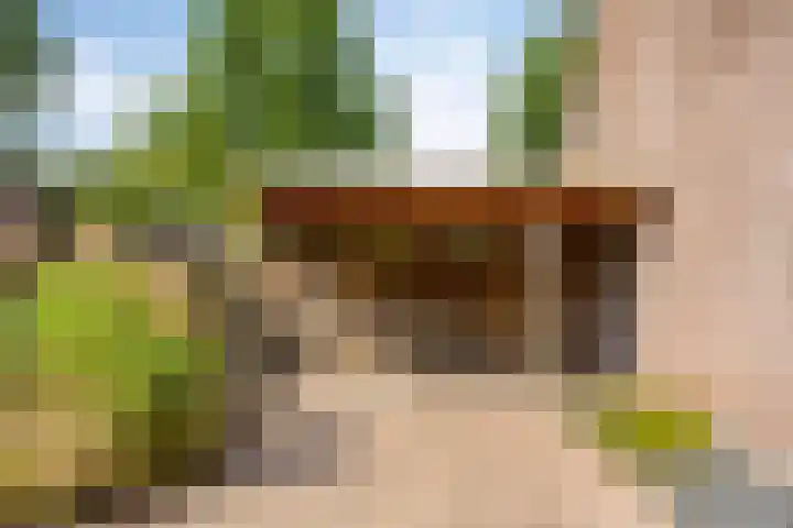 Vonderpad 21 Gieterveen thumbnail 8