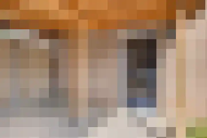 Vonderpad 21 Gieterveen thumbnail 9